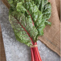 Ruby Red Or Rhubarb Chard