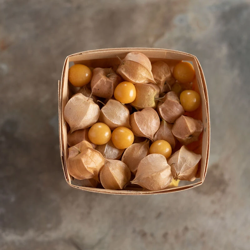 Goldie 2 Goldie - Image 2