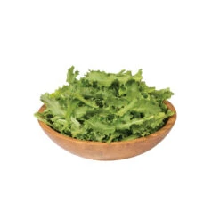 Clodia -Seed & Root Sales Store 0111 03 clodia