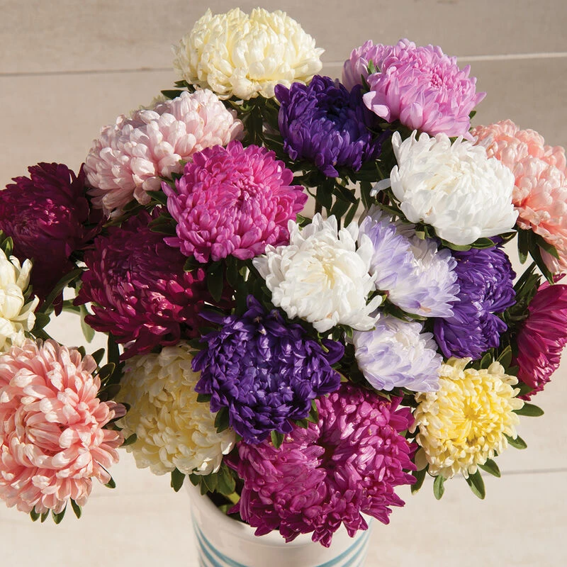 Tower Custom Mix 1 Tower Custom Mix