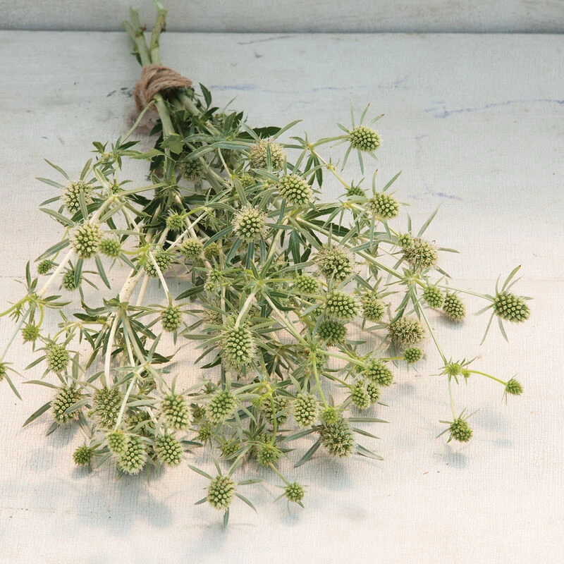 White Glitter 1 White Glitter