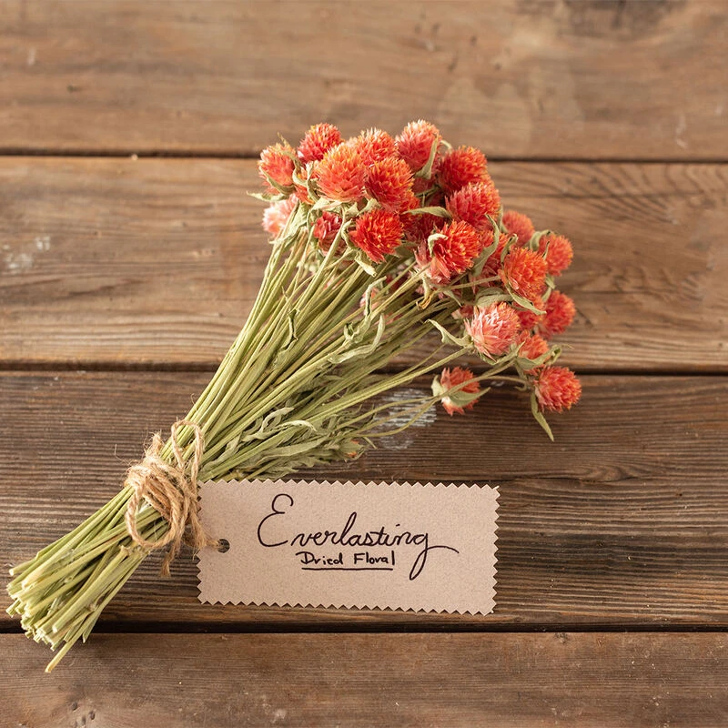 QIS™ Orange 2 QIS™ Orange - Image 2