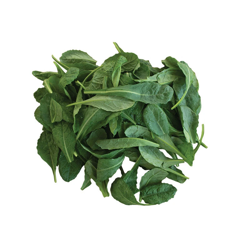 Toscano 2 Toscano - Image 2