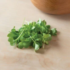 Radish, Daikon -Seed & Root Sales Store 02155mg 03 daikonradmicro