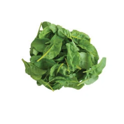 Bright Yellow -Seed & Root Sales Store 02205d 02 brightyellow