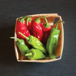 Mellow Star -Seed & Root Sales Store 02592 03 mellowstar