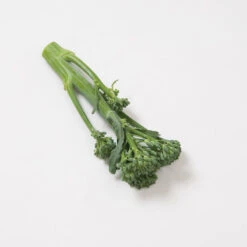 Happy Rich -Seed & Root Sales Store 02629 02 happyrich