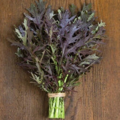 Ruby Streaks -Seed & Root Sales Store 02740g 01 ruby streaks