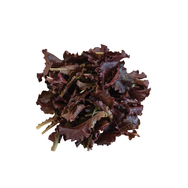 Annapolis 2 Annapolis - Image 2