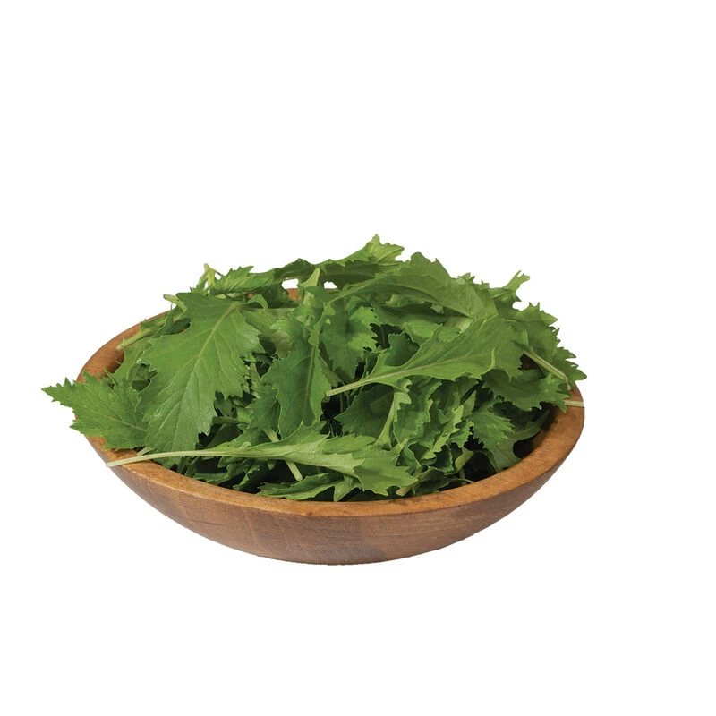 Mizuna 2 Mizuna - Image 2