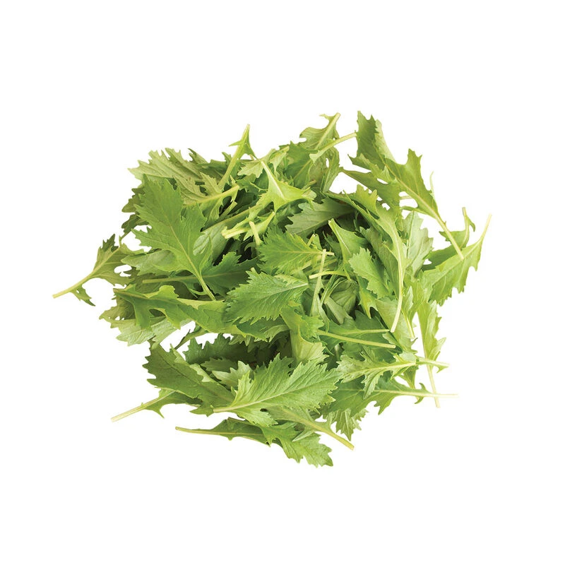 Mizuna 3 Mizuna - Image 3