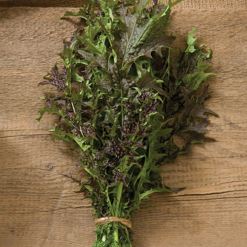 Red Splendor 3 Red Splendor - Image 3