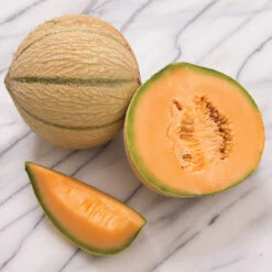 Escorial 5 Escorial -Seed & Root Sales Store 03071 03 escorial