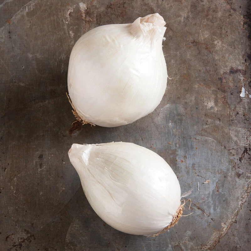 White Castle 1 White Castle