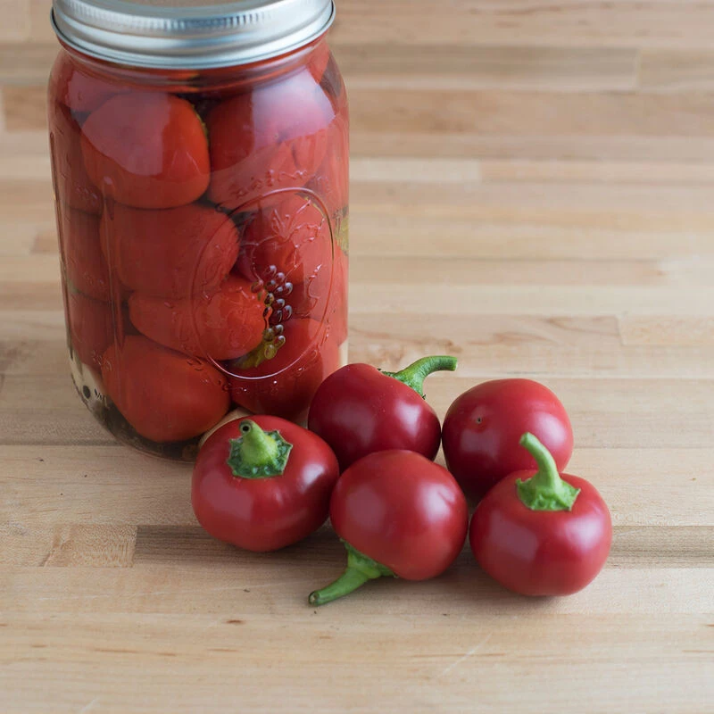 Capperino 2 Capperino - Image 2