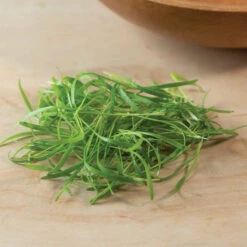 Fennel, Green -Seed & Root Sales Store 03152m 03 fennelgreensilo