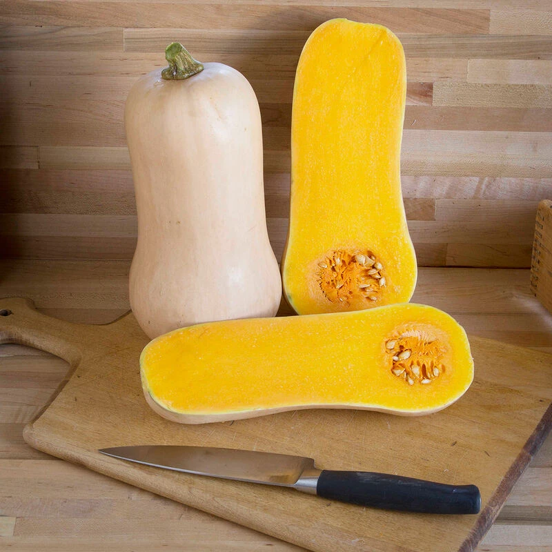 Waldo PMR 1 Waldo PMR