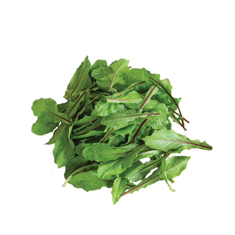 Italiko Red 2 Italiko Red - Image 2