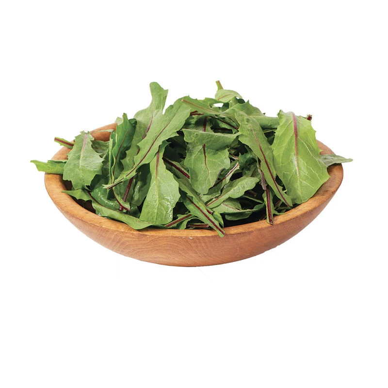 Italiko Red 1 Italiko Red