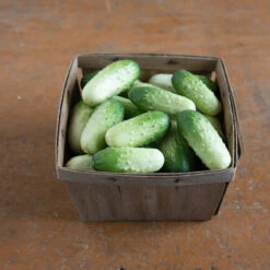 Quirk -Seed & Root Sales Store 03408 03 quirk