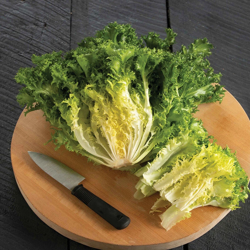 Curlesi 2 Curlesi - Image 2