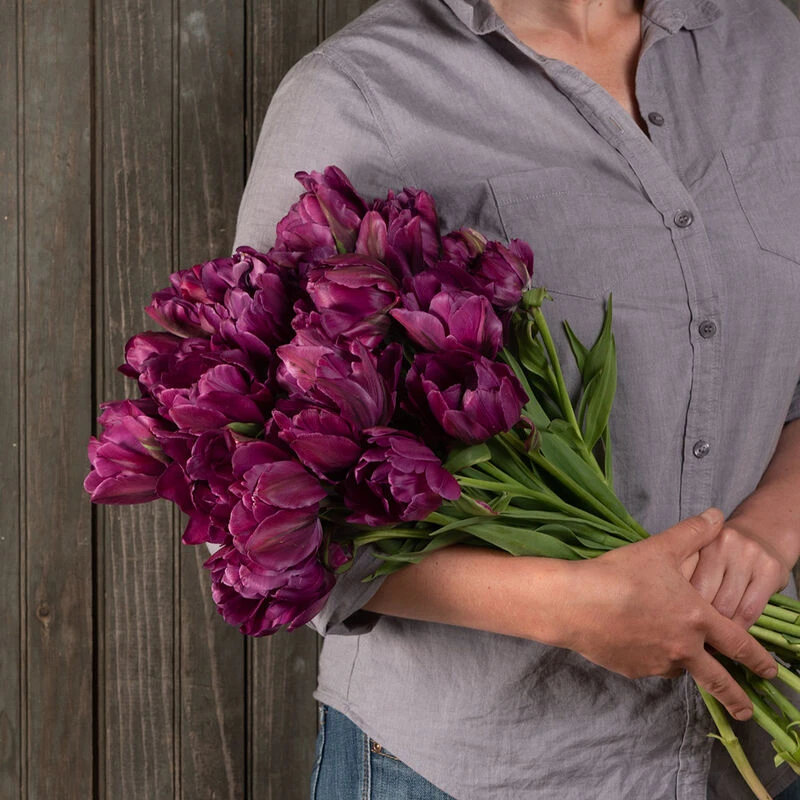 Negrita Double 2 Negrita Double - Image 2