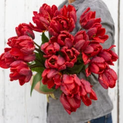 Rococo -Seed & Root Sales Store 03497 03 rococo