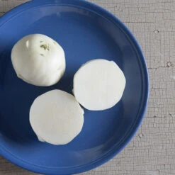 Beas -Seed & Root Sales Store 03527 02 beas