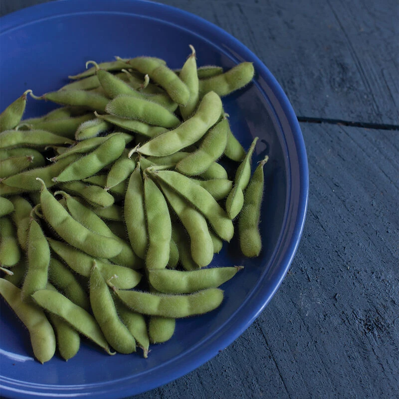 Karikachi 2 Karikachi - Image 2