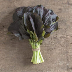 Red Kingdom -Seed & Root Sales Store 03748 02 redkingdom