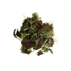 KX-1 -Seed & Root Sales Store 04009 03 kx1