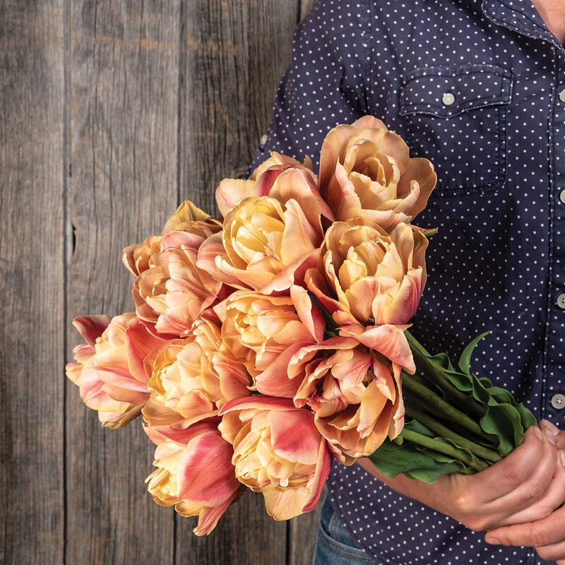 La Belle Epoque 6 La Belle Epoque - Image 6