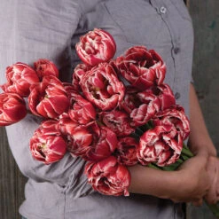 Best Seller 19 Drumline