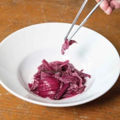 Merlot -Seed & Root Sales Store 04171 03 merlot