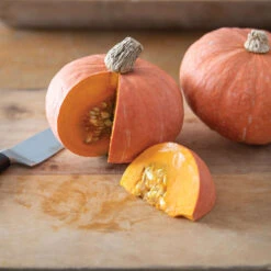 Marmalade -Seed & Root Sales Store 04424g 03 marmalade