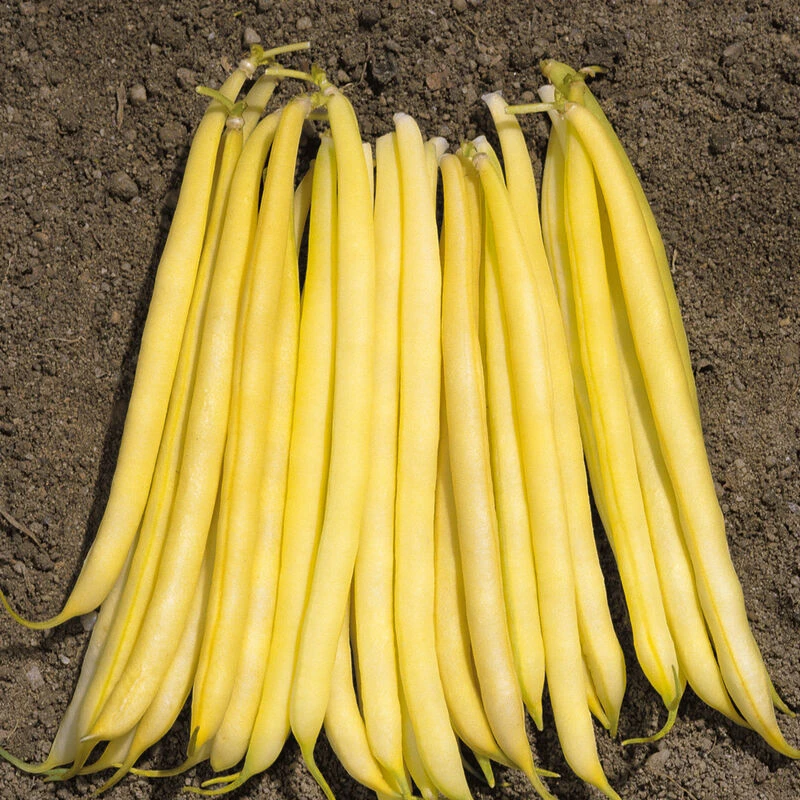 Borsalino 1 Borsalino