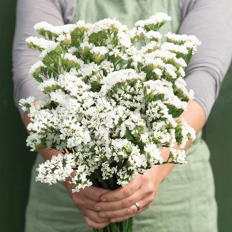 Forever Silver 1 Forever Silver