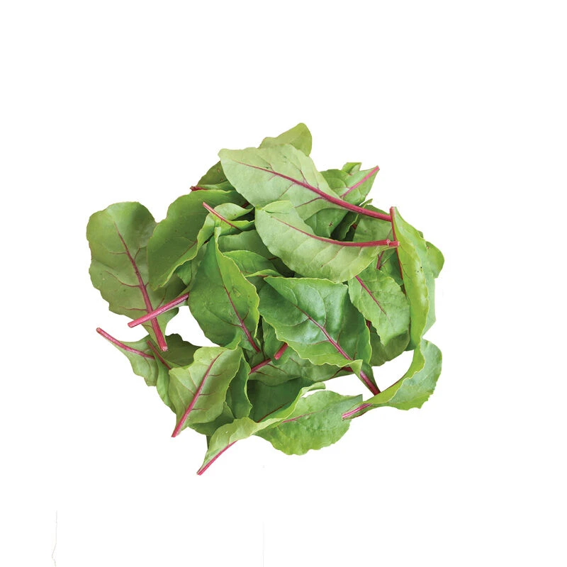 Charbell 3 Charbell - Image 3