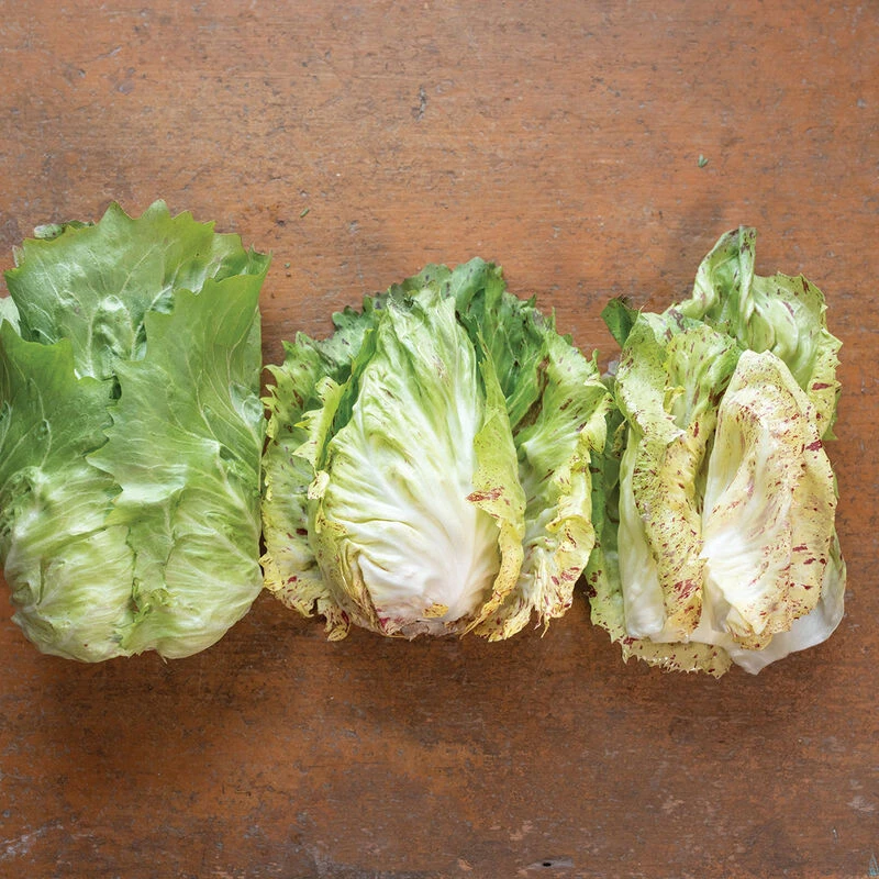 Giorgione 1 Giorgione