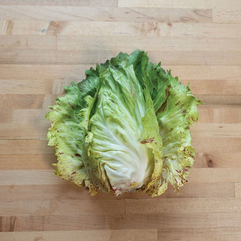 Giorgione 2 Giorgione - Image 2