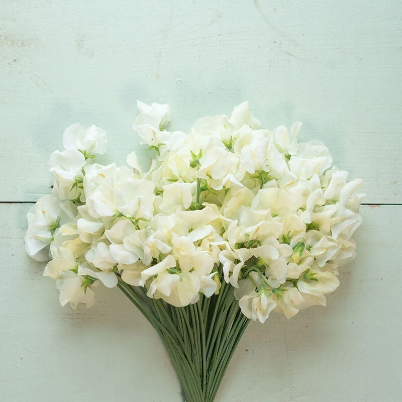 Spencer Ice Cream 1 Spencer Ice Cream