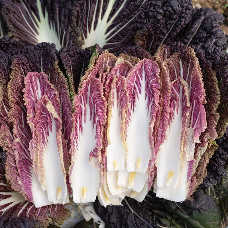 Miss Hong 2 Miss Hong - Image 2