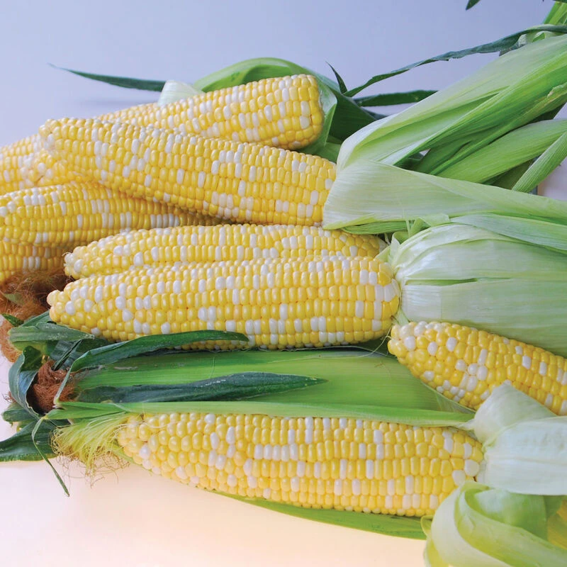 Quick Start 1 Quick Start