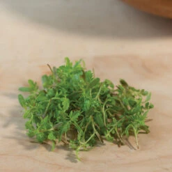 Marigold, Gem 7 Marigold, Gem -Seed & Root Sales Store 06023m 04 gem marigold