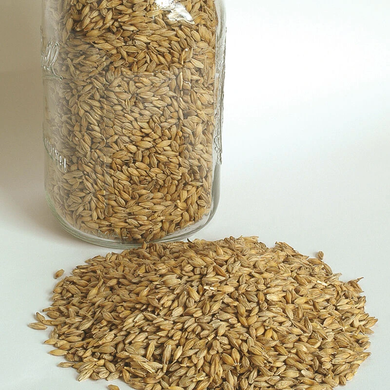 Barley (Quest) 1 Barley (Quest)