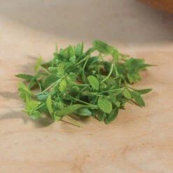 Parsley -Seed & Root Sales Store 3770m 03 parsley