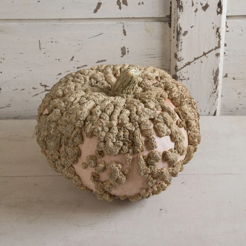 Galeux D'Eysines 1 Galeux D'Eysines