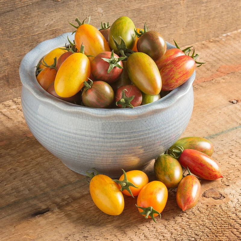 Artisan Tomato™ Collection 2 Artisan Tomato™ Collection - Image 2