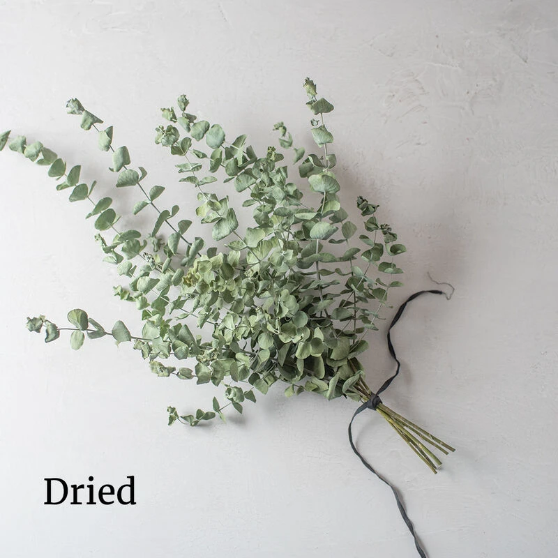 Baby Blue Bouquet 3 Baby Blue Bouquet - Image 3